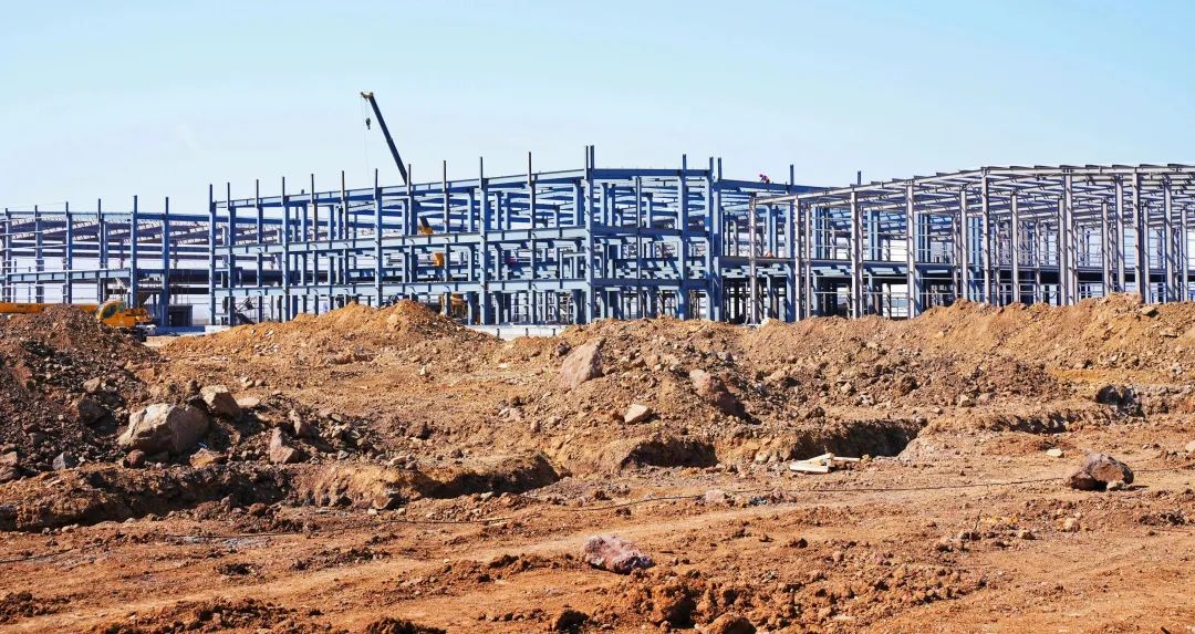 新得利·(中国)有限公司官网